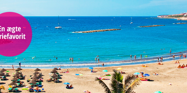 vinterrejser til tenerife vinterrejser til tenerife
